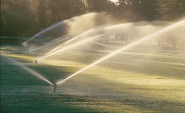 Photo: Sprinklers in early morning at golf course