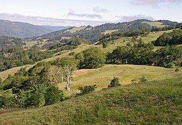 Photo: Landscape of rolling hills and valleys