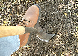 Photo: Shovel and boot
