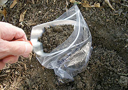 Photo: Placing soil in the sampling bag