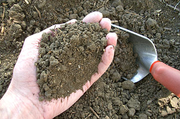Photo: ECU soil in hand