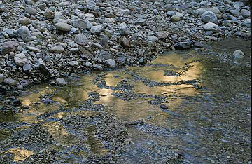 Photo: Close-up of water and gravel in streambed (from Nova)
