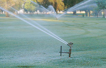 Photo: Close-up of sprinkler on golf course fairway