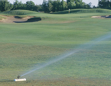 Photo: Sprinkler at a golf course