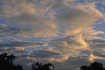 Photo: Clouds in sky