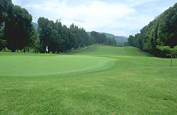 Photo: A lush, verdant landscape (golf course)