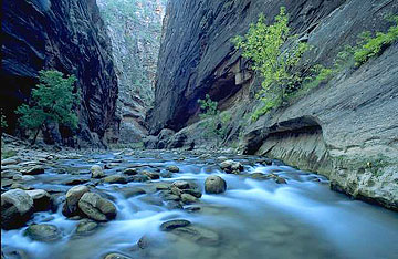 Photo: A river flowing through a canyon