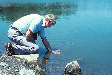 Photo: Man kneeling at edge of pond, hand in water