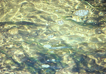 Photo: Close-up of water, rippled, with a few bubbles floating on top
