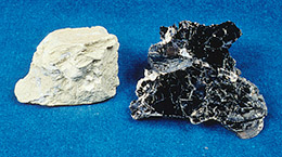 Photo: Green clay mineral and biotite