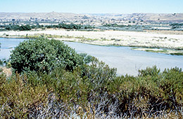 Photo: Salinas River