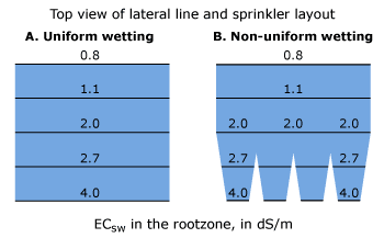 Figure 7. Patterns of salt accumulation in the wetted zone for the two sprinkler layouts depicted in the previous figure; ECsw expressed in dS/m