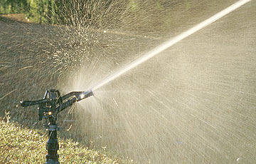 Close-up of sprinkler in action