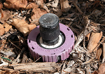 Close-up of purple-colored or labeled irrigation component