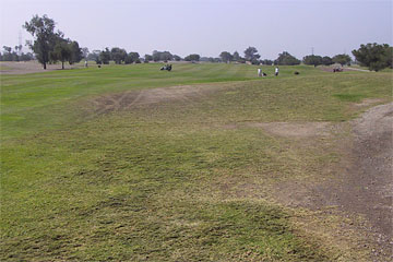Photo: Bermudagrass fairway at the Victoria Golf Course exhibits signs of damage (landscape view)