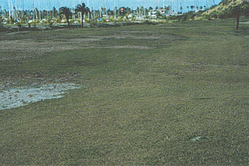 Photo: Bermudagrass fairway exhibits water stress on one side in this photo