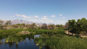 WateReuse Arizona: A Sneak Preview into Tucson Water’s and City of Phoenix's Plans for Advanced Water Purification