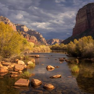 Water Reuse 101: An Alternate Water Source for A Strained Resource