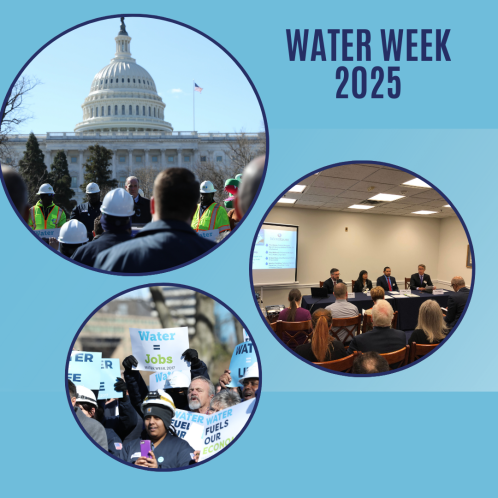A graphic containing three bubble images of people participating in advocacy on Capitol Hill.
